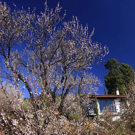 Panorama El Mirador Puntagorda